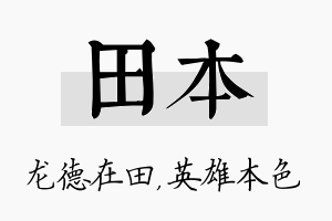 田本名字的寓意及含义