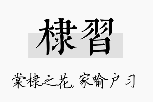 棣习名字的寓意及含义