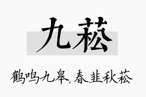 九菘名字的寓意及含义