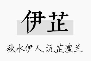 伊芷名字的寓意及含义