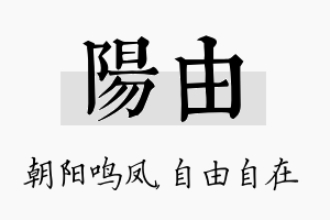 阳由名字的寓意及含义