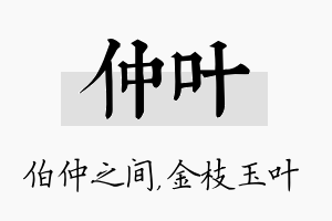 仲叶名字的寓意及含义