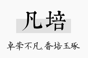 凡培名字的寓意及含义