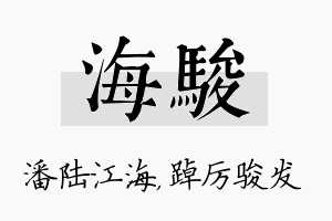 海骏名字的寓意及含义