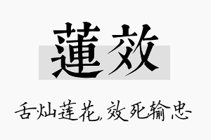 莲效名字的寓意及含义