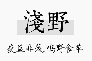 浅野名字的寓意及含义