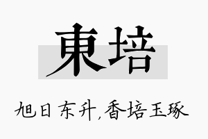 东培名字的寓意及含义