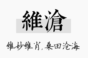 维沧名字的寓意及含义