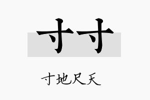 寸寸名字的寓意及含义