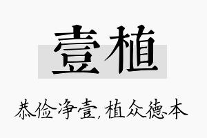 壹植名字的寓意及含义