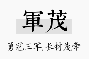 军茂名字的寓意及含义