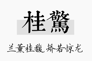 桂惊名字的寓意及含义