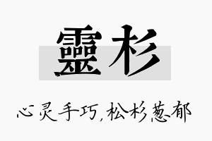 灵杉名字的寓意及含义