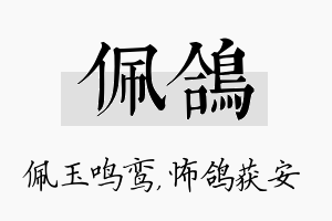 佩鸽名字的寓意及含义