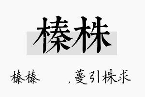 榛株名字的寓意及含义