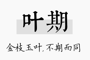 叶期名字的寓意及含义