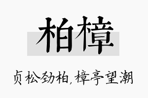 柏樟名字的寓意及含义