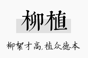 柳植名字的寓意及含义