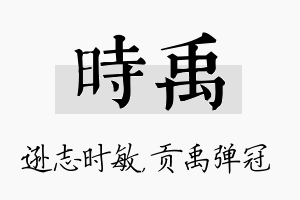 时禹名字的寓意及含义