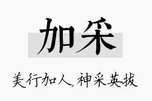 加采名字的寓意及含义