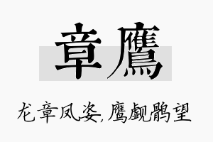 章鹰名字的寓意及含义