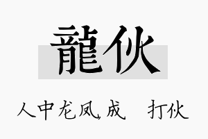 龙伙名字的寓意及含义