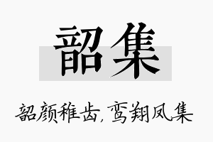 韶集名字的寓意及含义