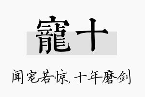 宠十名字的寓意及含义