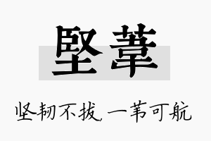 坚苇名字的寓意及含义