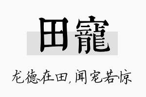 田宠名字的寓意及含义