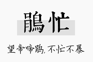 鹃忙名字的寓意及含义