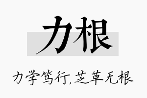 力根名字的寓意及含义