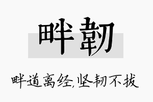 畔韧名字的寓意及含义