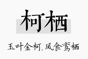 柯栖名字的寓意及含义