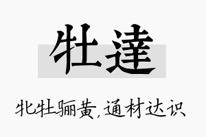 牡达名字的寓意及含义