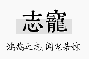 志宠名字的寓意及含义