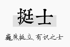 挺士名字的寓意及含义