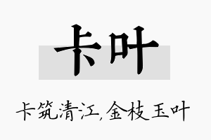 卡叶名字的寓意及含义