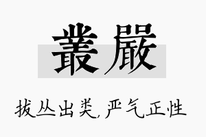 丛严名字的寓意及含义