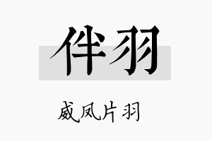 伴羽名字的寓意及含义