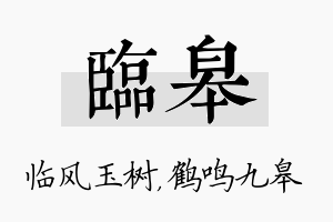 临皋名字的寓意及含义