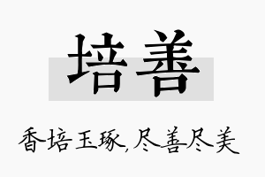 培善名字的寓意及含义