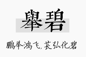 举碧名字的寓意及含义