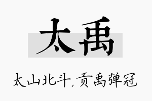 太禹名字的寓意及含义