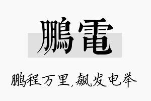 鹏电名字的寓意及含义