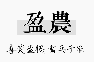 盈农名字的寓意及含义