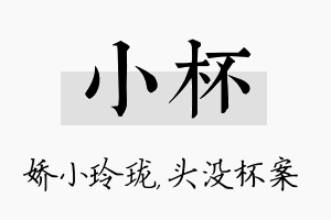 小杯名字的寓意及含义