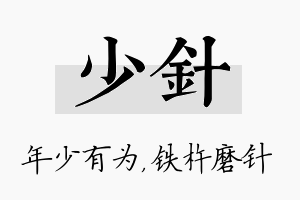 少针名字的寓意及含义