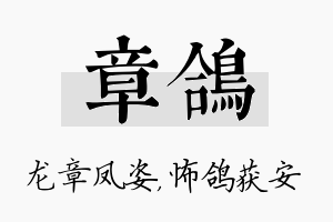 章鸽名字的寓意及含义