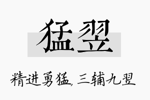 猛翌名字的寓意及含义